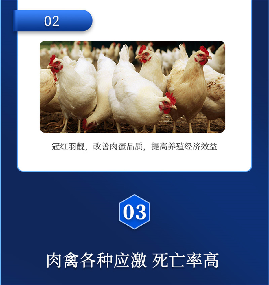 全网担保网动保禽饲料添加剂禽肽重产品介绍 全网担保网动保禽饲料添加剂禽肽重产品介绍