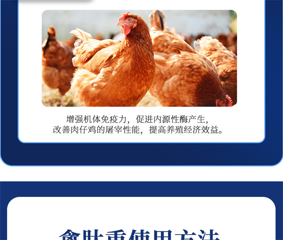 全网担保网动保禽饲料添加剂禽肽重产品介绍 全网担保网动保禽饲料添加剂禽肽重产品介绍