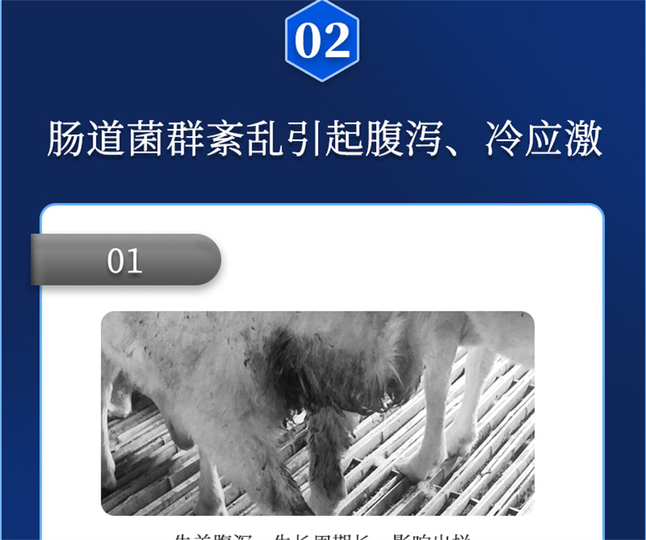 全网担保网动保牛羊饲料添加剂胃兴plus产品介绍