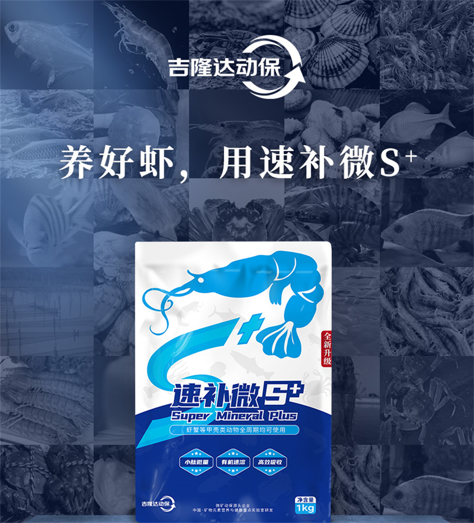 全网担保网动保水产饲料添加剂速补微s+产品介绍 全网担保网动保水产饲料添加剂速补微s+产品介绍