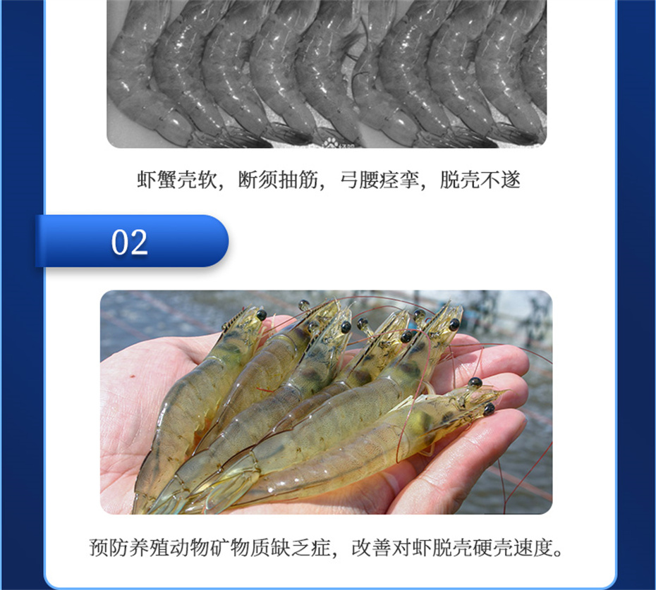 全网担保网动保水产饲料添加剂速补微s+产品介绍 全网担保网动保水产饲料添加剂速补微s+产品介绍