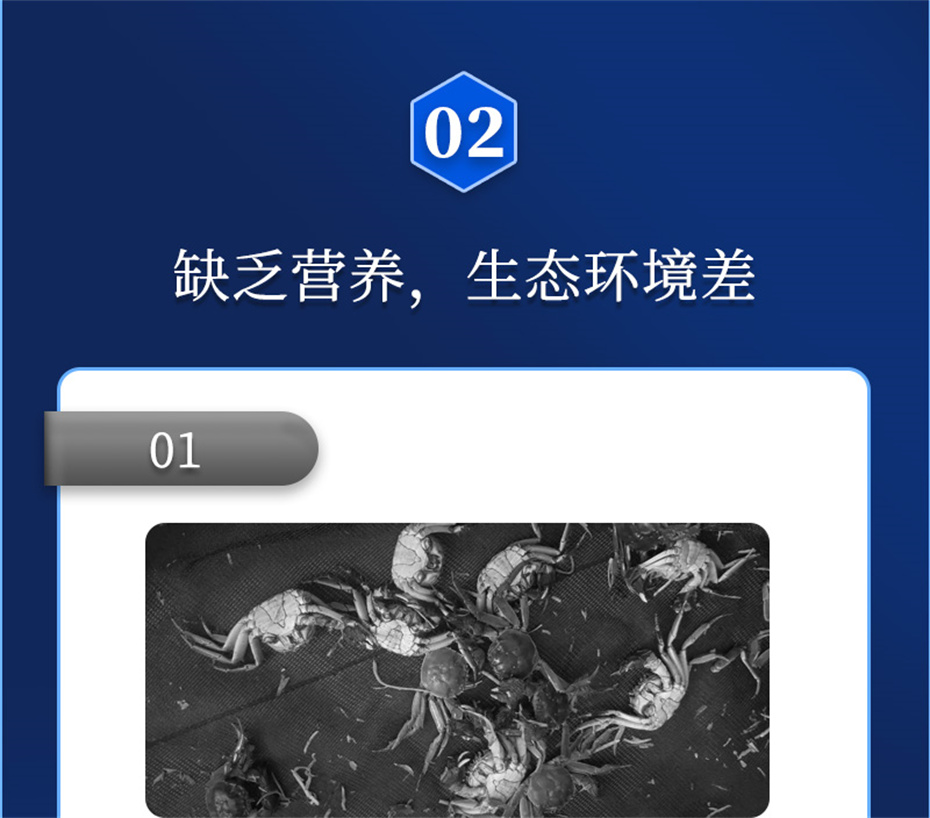 全网担保网动保水产饲料添加剂速补微s+产品介绍 全网担保网动保水产饲料添加剂速补微s+产品介绍