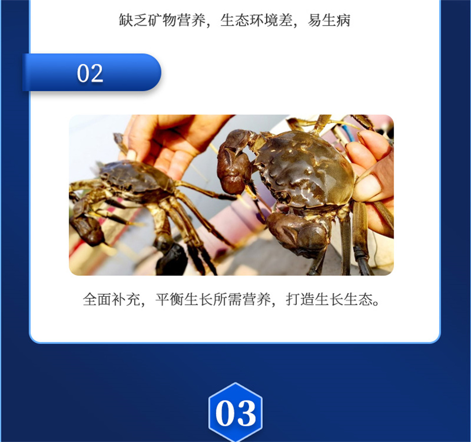 全网担保网动保水产饲料添加剂速补微s+产品介绍 全网担保网动保水产饲料添加剂速补微s+产品介绍