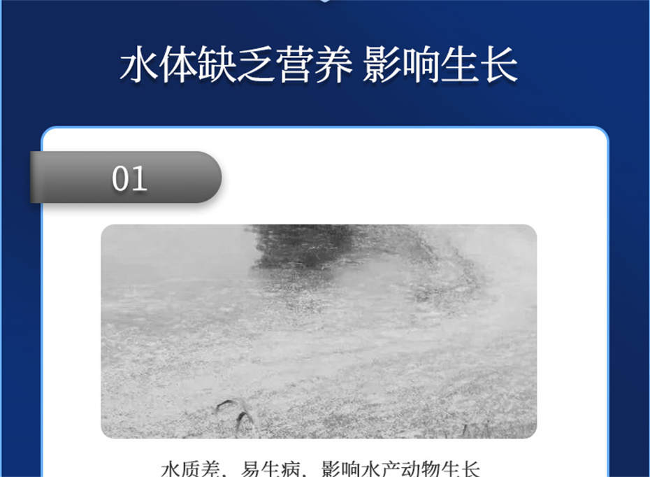 全网担保网动保水产饲料添加剂速补微s+产品介绍 全网担保网动保水产饲料添加剂速补微s+产品介绍